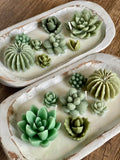 Arizona Dream Cactus Garden Candle — Sculptural Soy Wax in Carved Wood Bowl